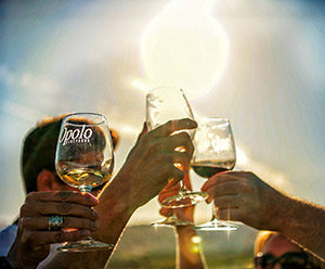 Opolo Vineyards Summer toast
